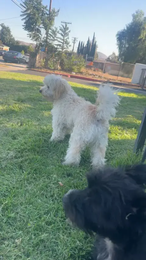 Tucker photo 2