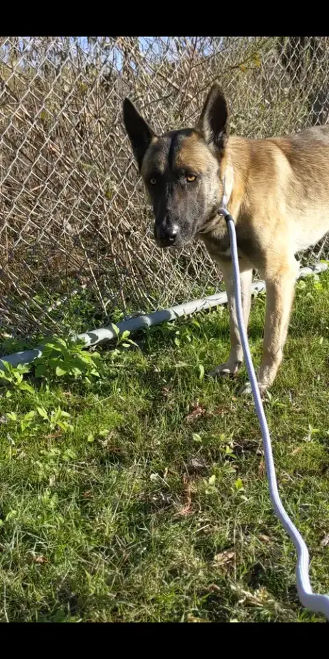 Hunter photo 3