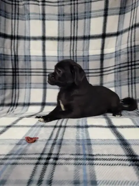 Monty photo 3