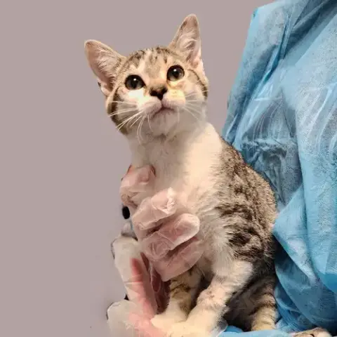 Jeri