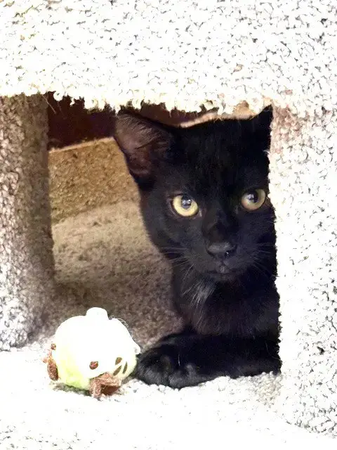 Wednesday photo 3