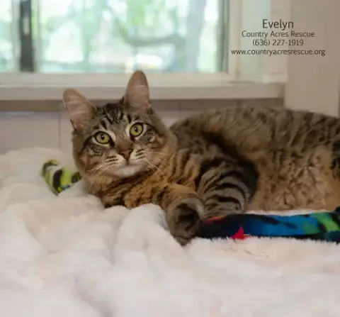 Evelyn photo 2