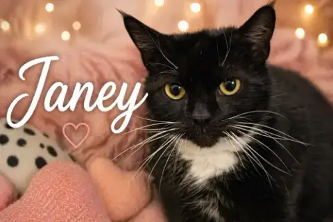 Janey photo 2
