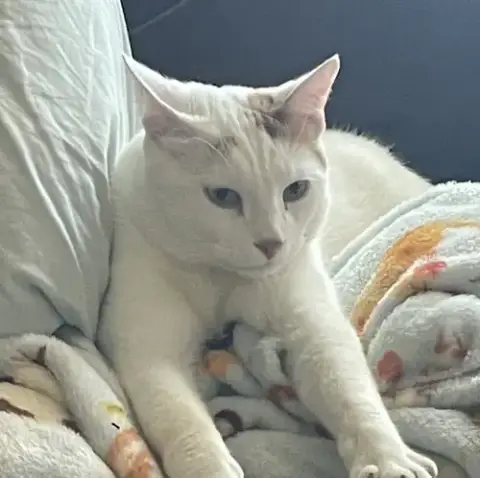 Milo