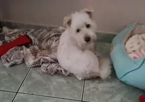 Georgie photo 5
