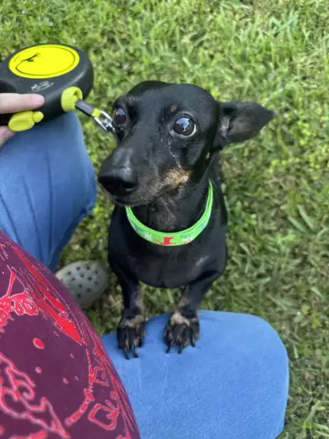 Flynn