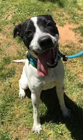 Mitch