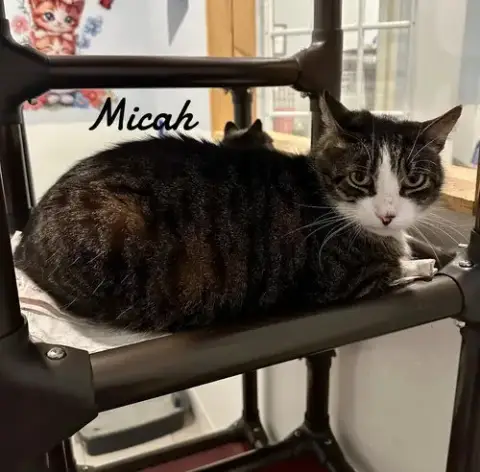 Micah photo 2