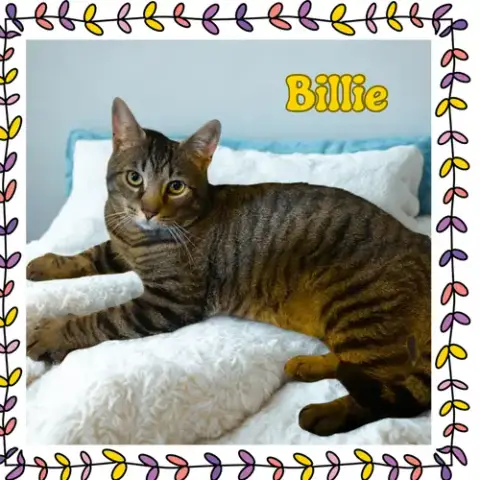 Billie photo 2