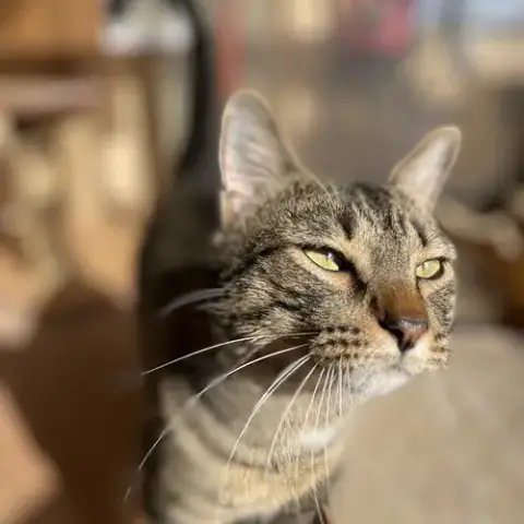 Eros