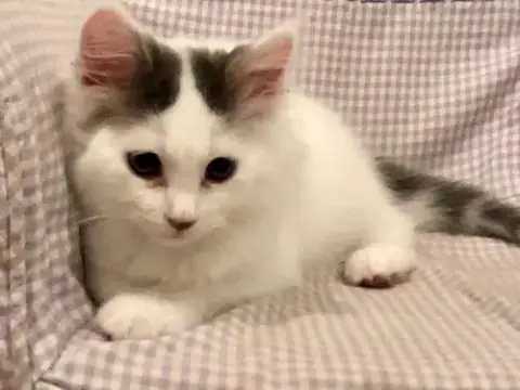 Casper