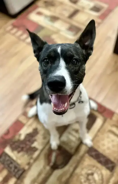 Gigi photo 5