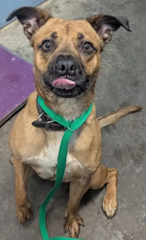 Dorian photo 4