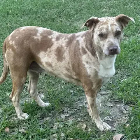 Bernadette photo 3