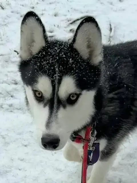 Nick photo 2