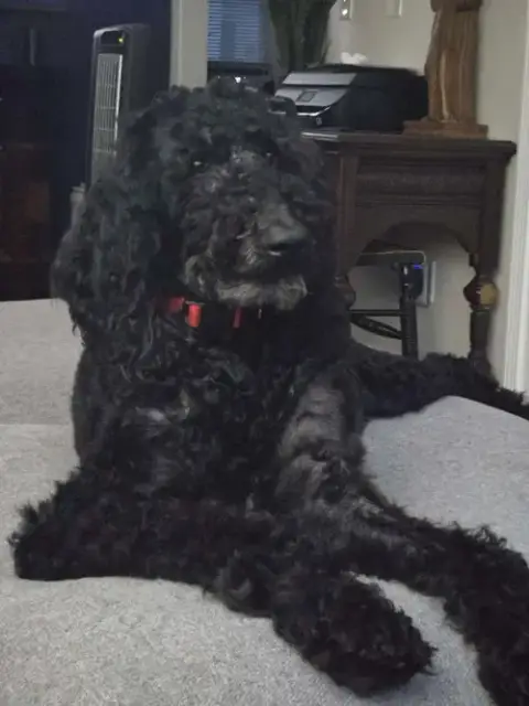 Sophia photo 4