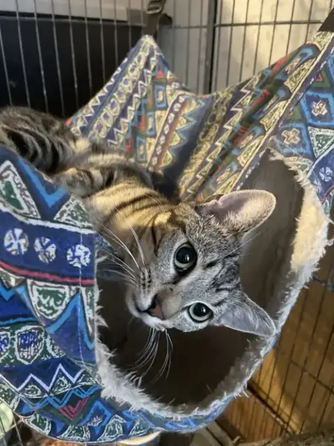 Frito