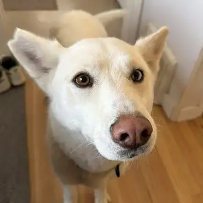 Sandy photo 4