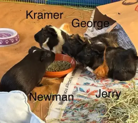 Fish Tank Boys