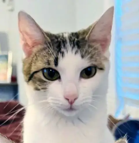 Momma Peach photo 4