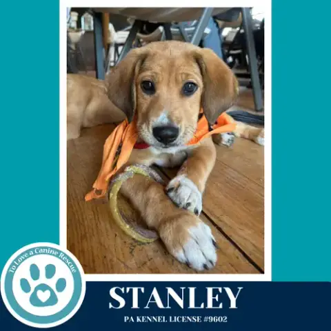 Stanley