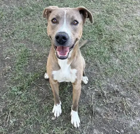 Oscar