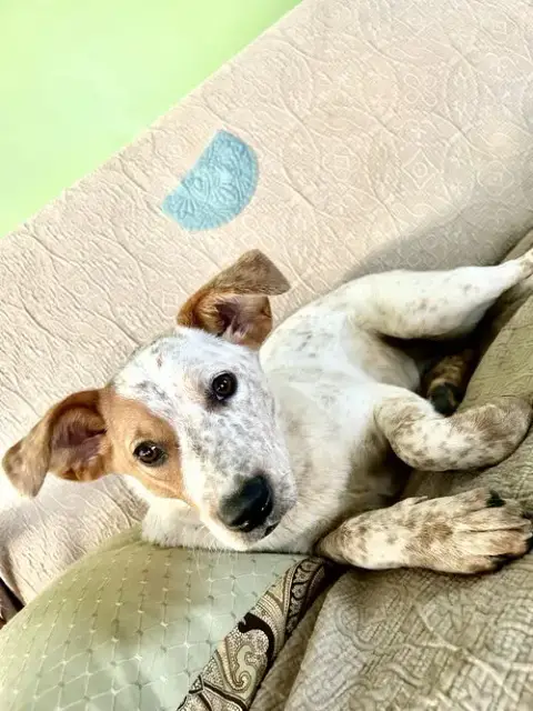 Lila photo 2