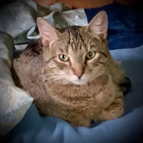 Zera