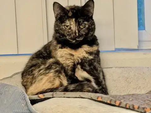 Karma photo 5