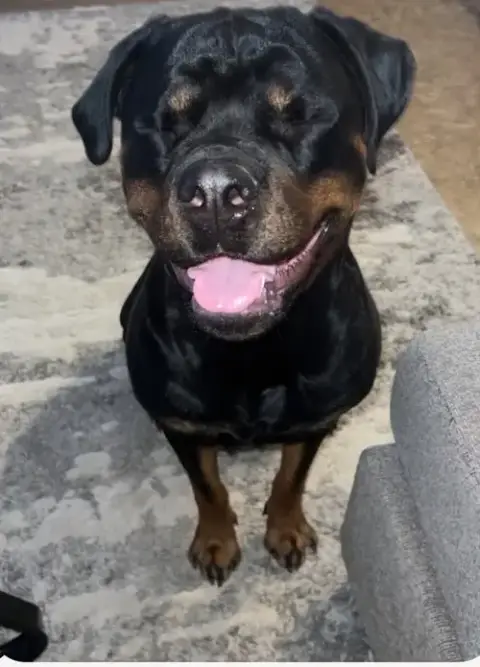 Kona photo 3