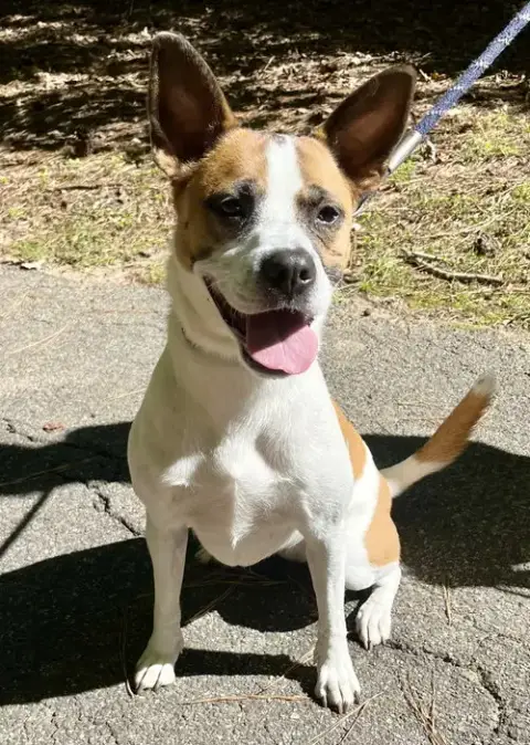 Lola photo 3