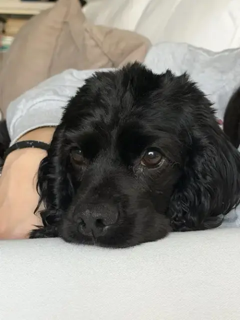 Bella photo 5