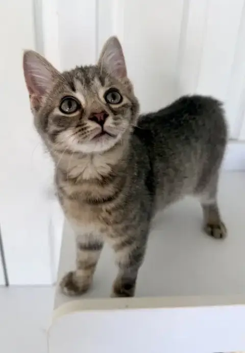 Brightheart photo 3
