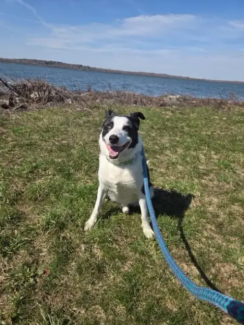 Winston photo 4