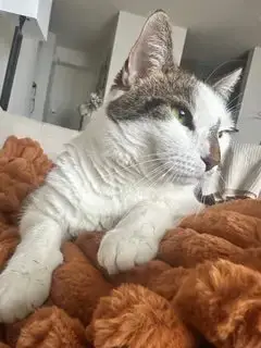 Lucky