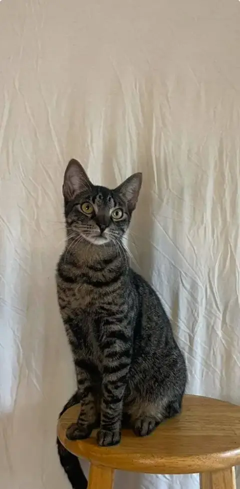 Max