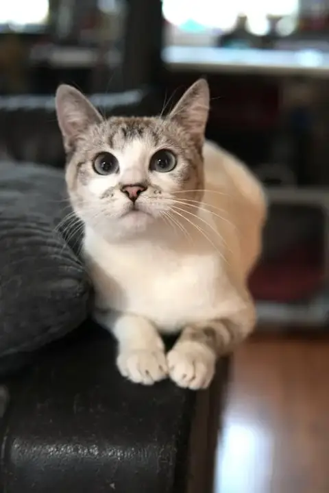 Lyla photo 3