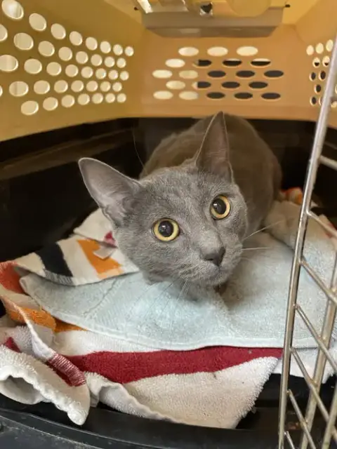 Mary Ellen photo 2