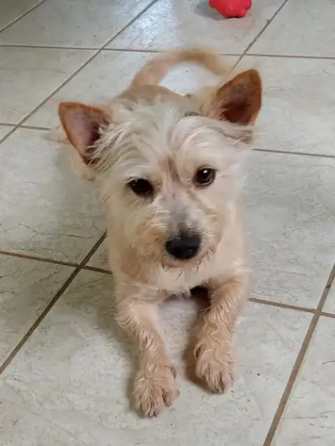 Teddy F/K/A Trooper photo 2