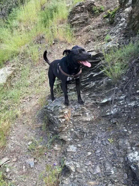 Max Boy