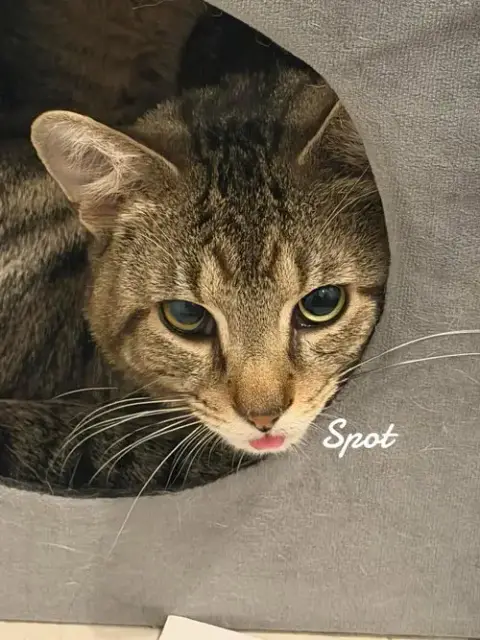 Spot & Dot photo 2