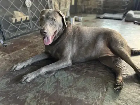 Dakota photo 4