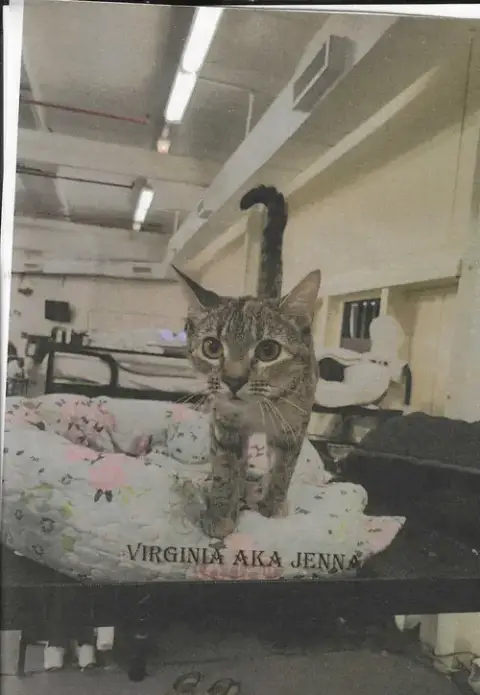Virginia photo 2