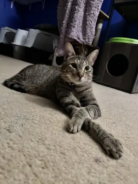 Hank photo 5