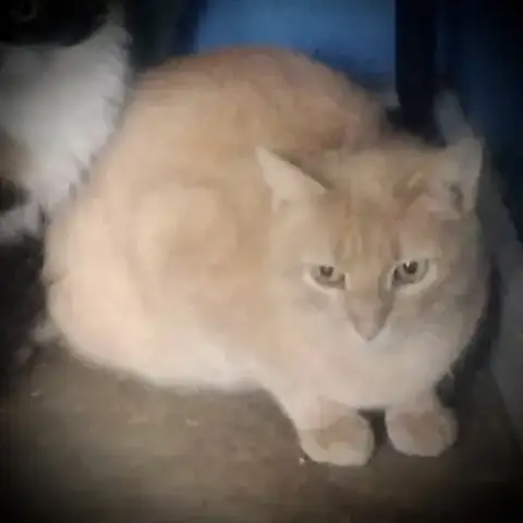 Nada
