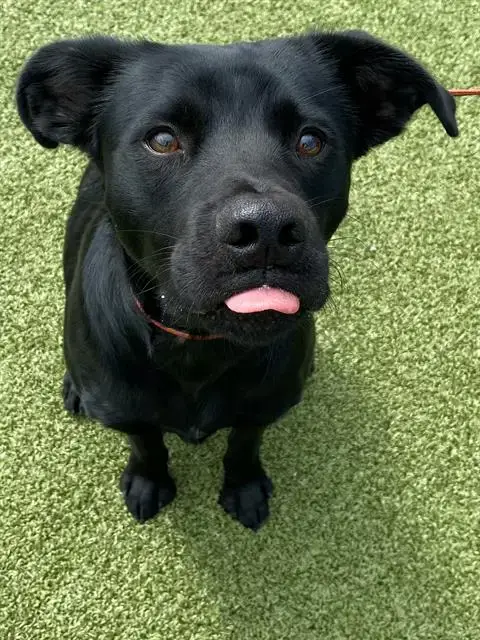Bruce
