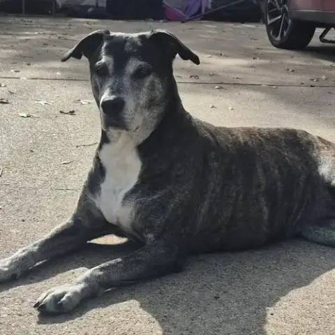 Zoey Xi photo 4