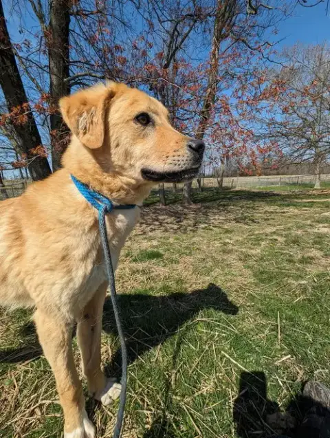 Reggie photo 4