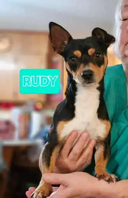 Rudy In La