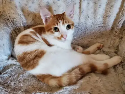 Eugene